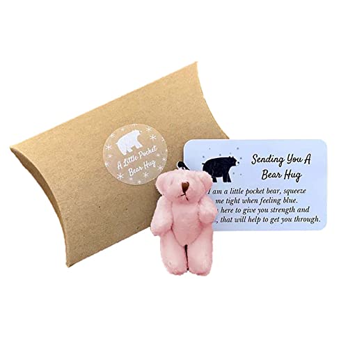 Fycakly Handgemachte Bären-Kleintier-Spielzeugkiste zum Kuscheln präsentiert Exquisite kleine niedliche Karten ​​ Baby Kuscheltier Jungen​​ (One Size) von Fycakly