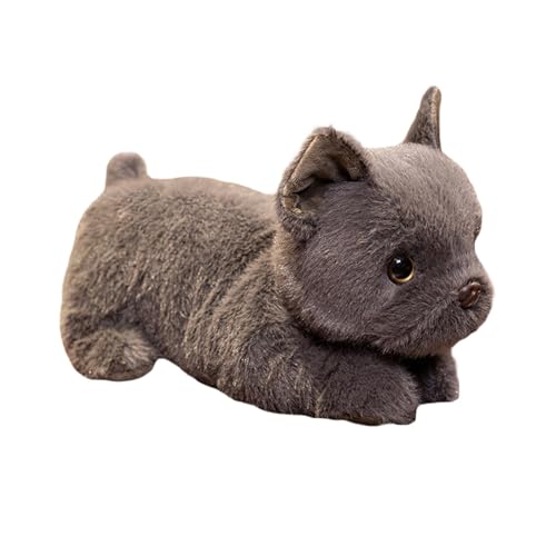 Fycakly Lebensechte Corgi & Spielzeug Mini weiche Stofftier Welpen Puppe süße Hundespielzeug für Kinder Maschinenwaschbar Kind ​​ Plüschtiere für Erwachsene​​ (B, 30x16x18cm) von Fycakly