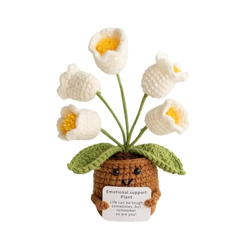 Fycakly Mini Positive Häkeltopf Häkeln des Tals mit positiven Karten Inspirierende Häkelblumentopf Dekoration Positives Häkelspielzeug plüsch Tier (C, One Size) von Fycakly