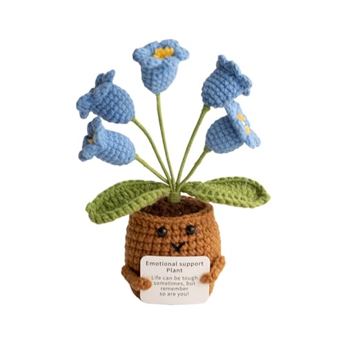 Fycakly Mini Positive Häkeltopf Häkeln des Tals mit positiven Karten Inspirierende Häkelblumentopf Dekoration Positives Häkelspielzeug plüsch Tier (D, One Size) von Fycakly