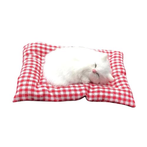 Lustiges Katze im schlafenden Puppenspielzeug, Mini-Katze im Schuh mit Miaugeräuschen, schlafende süße Kitty-Spielzeuge, Dekorationen für Kinder, Jungen Mädchen ​​ Kuscheltiere Baby ( B, One Size) von Fycakly