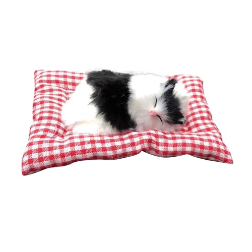 Lustiges Katze im schlafenden Puppenspielzeug, Mini-Katze im Schuh mit Miaugeräuschen, schlafende süße Kitty-Spielzeuge, Dekorationen für Kinder, Jungen Mädchen ​​ Kuscheltiere Baby ( E, One Size) von Fycakly
