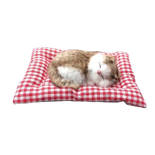 Lustiges Katze im schlafenden Puppenspielzeug, Mini-Katze im Schuh mit Miaugeräuschen, schlafende süße Kitty-Spielzeuge, Dekorationen für Kinder, Jungen Mädchen ​​ Kuscheltiere Baby ( G, One Size) von Fycakly