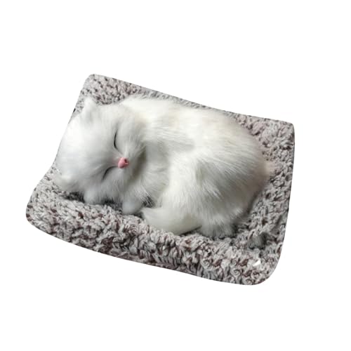 Lustiges Schlafspielzeug, Katze in der Matratze,, Mini-Katze im Schuh mit Miau-Geräuschen, schlafende süße Kitty-Spielzeuge, Dekorationen für Kinder, Jungen Mädchen Baby Kuscheltier ( D, One Size) Lustiges Schlafspielzeug, Katze in der Matratze,, Mini-Katze im Schuh mit Miau-Geräuschen, schlafende süße Kitty-Spielzeuge, Dekorationen für Kinder, Jungen Mädchen Baby Kuscheltier ( D, One Size) von Fycakly