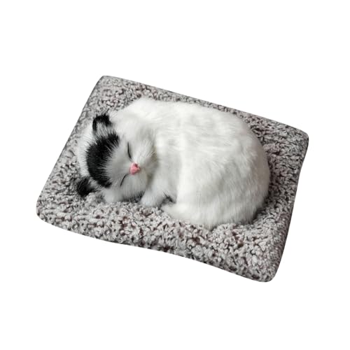 Lustiges Schlafspielzeug, Katze in der Matratze,, Mini-Katze im Schuh mit Miau-Geräuschen, schlafende süße Kitty-Spielzeuge, Dekorationen für Kinder, Jungen Mädchen Baby Kuscheltier ( F, One Size) Lustiges Schlafspielzeug, Katze in der Matratze,, Mini-Katze im Schuh mit Miau-Geräuschen, schlafende süße Kitty-Spielzeuge, Dekorationen für Kinder, Jungen Mädchen Baby Kuscheltier ( F, One Size) von Fycakly