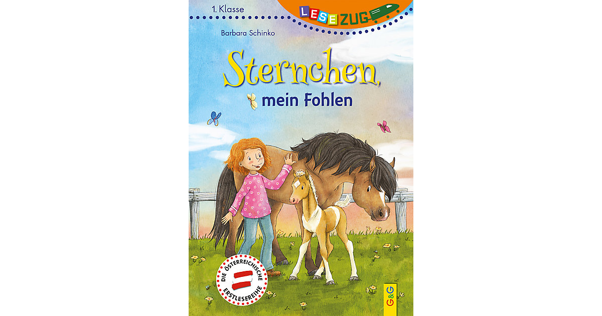 Buch - LESEZUG/1. Klasse: Sternchen, mein Fohlen von G & G Verlagsgesellschaft