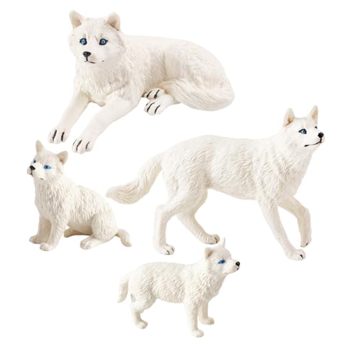 GADAW 4 Stück Realistische Wolf Figuren Modell Für Heimdekoration Büro Ausstellung Authentische Tierfigur Aufwendige Foto Requisiten GADAW 4 Stück Realistische Wolf Figuren Modell Für Heimdekoration Büro Ausstellung Authentische Tierfigur Aufwendige Foto Requisiten von GADAW