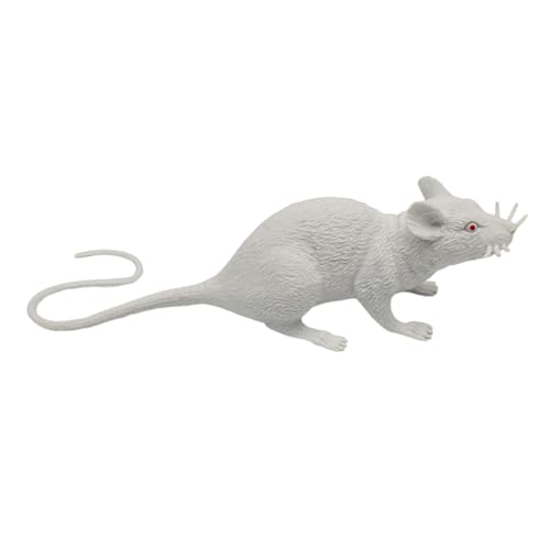 GADAW Realistisches Quietschendes Mausspielzeug Gefälschte Mäuse PVC Streich Requisiten Für Haustiere Und Halloween Gags Zusammendrückbares Gefälschtes Mäuse Zubehör GADAW Realistisches Quietschendes Mausspielzeug Gefälschte Mäuse PVC Streich Requisiten Für Haustiere Und Halloween Gags Zusammendrückbares Gefälschtes Mäuse Zubehör von GADAW