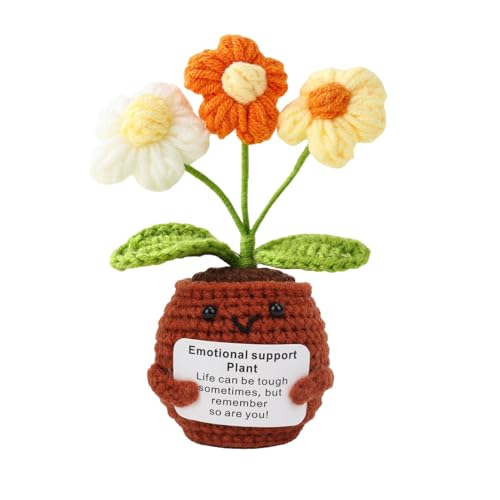 Positive Geschenke, Gestrickte Blumen Motivationsgeschenke, Positiv Gute Besserung Geschenke, Mit Einem Segensspruch Mutmacher Geschenk, Pocket Hug Positives Eintopfen (Pong-Pong-Dahlien) von GADITIEK