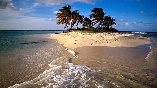 GAGALAM Intellektuelles Spiel Palmen Am Meer Klassische Puzzle 1000 Teile GAGALAM Intellektuelles Spiel Palmen Am Meer Klassische Puzzle 1000 Teile von GAGALAM