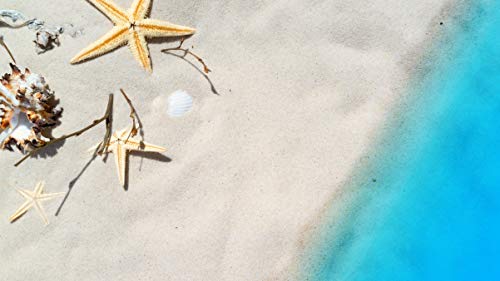 GAGALAM Intellektuelles Spiel Seestern Am Strand Klassische Puzzle 1000 Teile von GAGALAM
