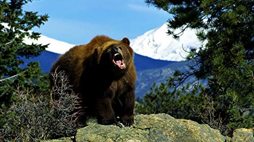 GAGALAM Klassisches Erwachsenen Puzzle 1000 Teile Braunbär Steht Heulend Auf Dem Felsen Modern Festival DIY Geschenk Intellektuelles Spiel von GAGALAM