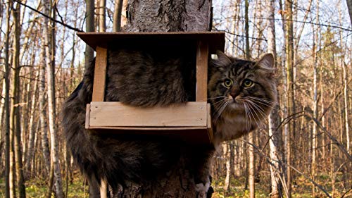 GAGALAM Klassisches Puzzle 1000 Stück Baumhaus Katze Holz Geschenk Dekoration GAGALAM Klassisches Puzzle 1000 Stück Baumhaus Katze Holz Geschenk Dekoration von GAGALAM