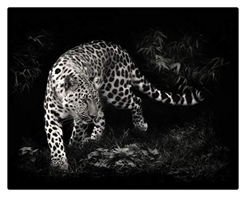 GAGALAM Puzzel Erwachsene 1000 Teile Beschmutzter Leopard In Der Tierdunkelheit Die Beste Wahl Für Geschenke Und Dekompression von GAGALAM