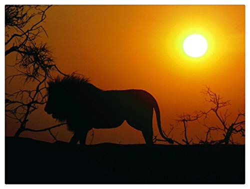 GAGALAM Puzzel Erwachsene 1000 Teile Sonnenaufgang Löwe Home Art Deco-Malerei GAGALAM Puzzel Erwachsene 1000 Teile Sonnenaufgang Löwe Home Art Deco-Malerei von GAGALAM