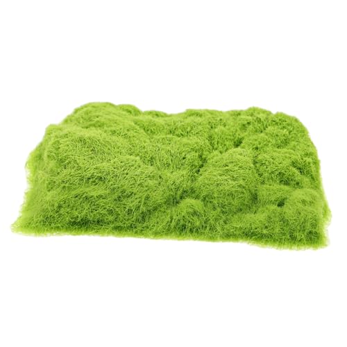 GALPADA 1 Packung Baustrohpulvermaterial Modellbausatz Grasgelände Moosdekoration Miniatur-Simulationsstrauch Miniaturpuppenhauspflanzen DIY Miniaturmoos Mikrozuglandschaft Beflockung Grün GALPADA 1 Packung Baustrohpulvermaterial Modellbausatz Grasgelände Moosdekoration Miniatur-Simulationsstrauch Miniaturpuppenhauspflanzen DIY Miniaturmoos Mikrozuglandschaft Beflockung Grün von GALPADA
