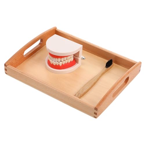 GALPADA 1 Satz Gurgelspielzeug Waschen Spielzeugzähne Kinderbürstenspielzeug Mundspielzeug Zum Zähneputzen Zähne Vorschulspielzeug Lernspielzeug Hölzern Zufällige Farbe GALPADA 1 Satz Gurgelspielzeug Waschen Spielzeugzähne Kinderbürstenspielzeug Mundspielzeug Zum Zähneputzen Zähne Vorschulspielzeug Lernspielzeug Hölzern Zufällige Farbe von GALPADA