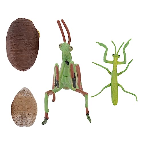 GALPADA 1 Satz Lebenszyklus Modell Realistische Tierfiguren Schnecke Gottesanbeterin für Pädagogisches Lernspielzeug für Transportabel und Langlebig GALPADA 1 Satz Lebenszyklus Modell Realistische Tierfiguren Schnecke Gottesanbeterin für Pädagogisches Lernspielzeug für Transportabel und Langlebig von GALPADA
