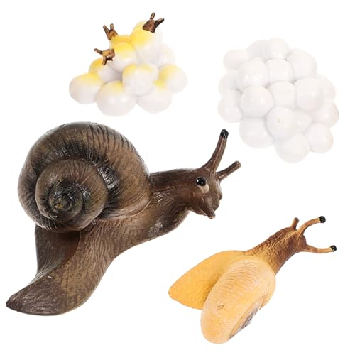 GALPADA 1 Satz Schneckenwachstumsmodellen Simulation des Schneckenwachstumszyklus für Lehrreiche Spielzeuge zur des Tierischen Wissens Kognitiven Entwicklung von GALPADA