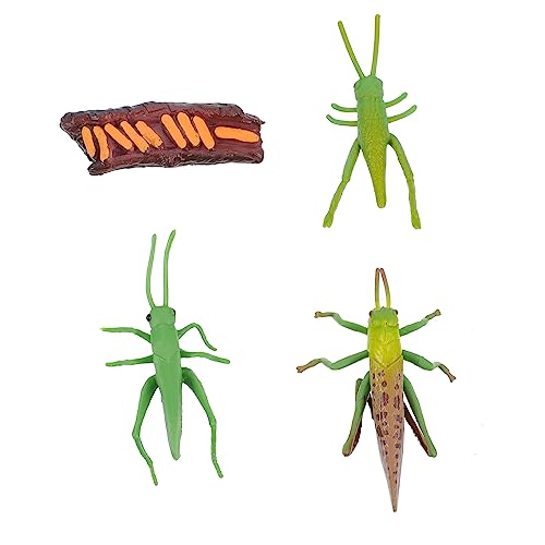 GALPADA 1 Satz Simulation Insekten Lebenszyklus Modelle Set Einzigartige Garten Dekoration und Lernspielzeug für Fördert Kreativität und über Insektenwachstum von GALPADA