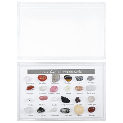 GALPADA 1 Schachtel Miniaturisierte Unregelmäßige Steine Dekorative Mineralproben für Desktop Arten von Natürlichen Kristall und Achatsteinen Box für Kreative Bastelprojekte und von GALPADA