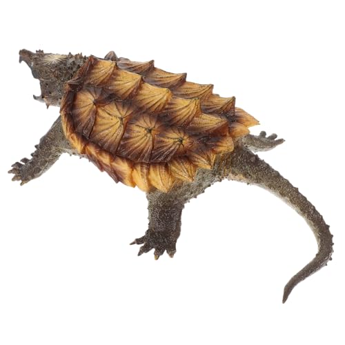 GALPADA 1 Stück Imitation Schildkröte Modellspielzeug aus TPR Material Miniatur Snapping Turtle Figur für Heimdekoration Kognitive Bildungsspielzeuge und Liebevolle Tiersammlungen GALPADA 1 Stück Imitation Schildkröte Modellspielzeug aus TPR Material Miniatur Snapping Turtle Figur für Heimdekoration Kognitive Bildungsspielzeuge und Liebevolle Tiersammlungen von GALPADA