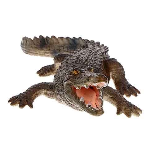GALPADA 1 Stück Simulation Alligator Modell Tierfigur Dekoration für Zuhause und Büro Langlebig und Stabil für Lernspielzeug für von GALPADA