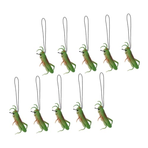 GALPADA 10 Stück Teiliges Realistische TPR Heuschrecken Figuren Tierdekorationen für Vielseitig als Lernspielzeug Partydeko und Naturgetreue Desktop-Heuschrecken Modelle GALPADA 10 Stück Teiliges Realistische TPR Heuschrecken Figuren Tierdekorationen für Vielseitig als Lernspielzeug Partydeko und Naturgetreue Desktop-Heuschrecken Modelle von GALPADA