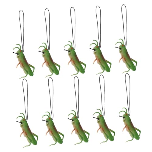 GALPADA 10 Stück Teiliges Realistisches TPR für Interaktive Insektenmodelle als Party deko und Lernspielzeug Vielseitige Tierfiguren für Kinderpartys und Entdeckungsspiele GALPADA 10 Stück Teiliges Realistisches TPR für Interaktive Insektenmodelle als Party deko und Lernspielzeug Vielseitige Tierfiguren für Kinderpartys und Entdeckungsspiele von GALPADA