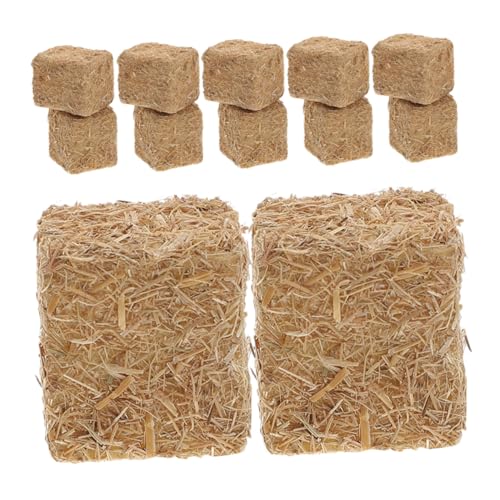 GALPADA 12 Stück Teiliges Mini Strohballen Realistische Quadratische Dekoration aus Detailgetreu Geformt Rustikales Bauernhof Design für Puppenhäuser Mini gärten und Landschaftsszenen GALPADA 12 Stück Teiliges Mini Strohballen Realistische Quadratische Dekoration aus Detailgetreu Geformt Rustikales Bauernhof Design für Puppenhäuser Mini gärten und Landschaftsszenen von GALPADA