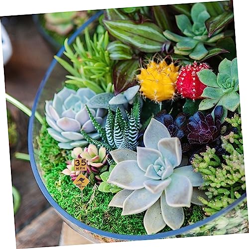 GALPADA 14 Stück Teiliges Mini Verkehrszeichen für Pädagogisches zur Verkehrserziehung Detailreiche Miniatur Schilder Vielseitig für Sandtisch Kinderzimmer und DIY Dekoration GALPADA 14 Stück Teiliges Mini Verkehrszeichen für Pädagogisches zur Verkehrserziehung Detailreiche Miniatur Schilder Vielseitig für Sandtisch Kinderzimmer und DIY Dekoration von GALPADA