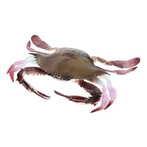 GALPADA Künstliche Krabbe Meereslebewesen Tierfigur Realistisches Krabbenspielzeug für Aquarium und Lernspielzeug von GALPADA