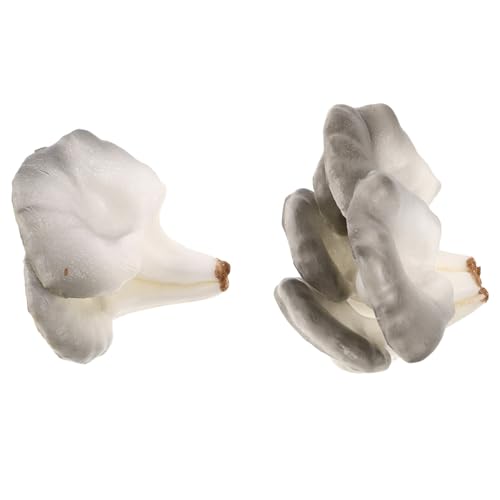 GALPADA 2 Stück Miniature Gemüse Modelle für Kreative Projekte Dekorative Accessoires für Zuhause Büro und Restaurant Naturdekoration GALPADA 2 Stück Miniature Gemüse Modelle für Kreative Projekte Dekorative Accessoires für Zuhause Büro und Restaurant Naturdekoration von GALPADA