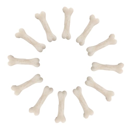 GALPADA 20 Stück Mini-Knochenmodell deko Mini-Skelette Miniatur-Skelett Skelett Mini-Knochen zum Basteln Knochenfüller winzige Skelette Harz Beige GALPADA 20 Stück Mini-Knochenmodell deko Mini-Skelette Miniatur-Skelett Skelett Mini-Knochen zum Basteln Knochenfüller winzige Skelette Harz Beige von GALPADA