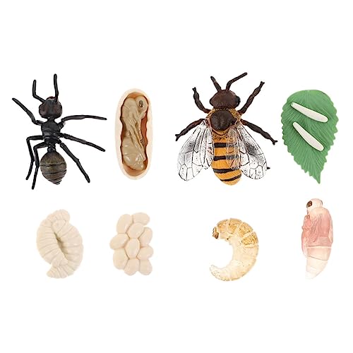 GALPADA 2Sätze Künstliche Insektenmodelle Lebenszyklus Bienen und Ameisenmodelle für Pädagogisches zur Biologischen Wissens Realistische Dekoration für Zuhause und Büro Robust GALPADA 2Sätze Künstliche Insektenmodelle Lebenszyklus Bienen und Ameisenmodelle für Pädagogisches zur Biologischen Wissens Realistische Dekoration für Zuhause und Büro Robust von GALPADA