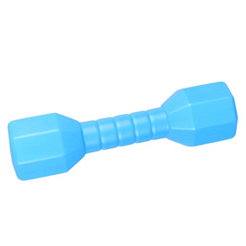 GALPADA 4 Stück Teiliges Hanteln aus Kunststoff Fitnessspielzeug für Tanz und Outdoor Aktivitäten Blau für Koordinationstraining und Spaß GALPADA 4 Stück Teiliges Hanteln aus Kunststoff Fitnessspielzeug für Tanz und Outdoor Aktivitäten Blau für Koordinationstraining und Spaß von GALPADA