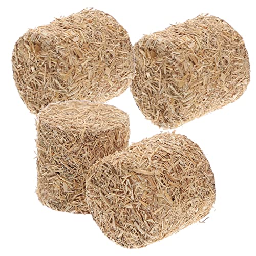 GALPADA 4Stücke Mini Heuballen Dekoration für Rustikale Tischgestaltung Hochwertige DIY Zubehör für Garten Wohnkultur und Puppenhaus Kompakte Langlebig Natürlicher Look GALPADA 4Stücke Mini Heuballen Dekoration für Rustikale Tischgestaltung Hochwertige DIY Zubehör für Garten Wohnkultur und Puppenhaus Kompakte Langlebig Natürlicher Look von GALPADA