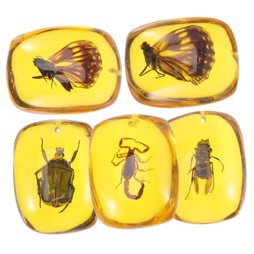 GALPADA 5 Stück Teiliges Bernsteinschmuck Natürlichen Insektenexemplaren Vorgebohrte Anhänger für DIY Schmuckherstellung Feine Verarbeitung Einzigartiges Design für Armbänder und GALPADA 5 Stück Teiliges Bernsteinschmuck Natürlichen Insektenexemplaren Vorgebohrte Anhänger für DIY Schmuckherstellung Feine Verarbeitung Einzigartiges Design für Armbänder und von GALPADA