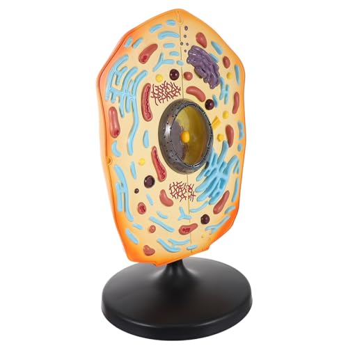 GALPADA Anatomisches Tierzellmodell aus Detailreiches Biologie Lehrmittel Einfach Bedienbar für Schüler Lehrer und Laboreinsatz Praktisches Display Modell für Unterricht und von GALPADA