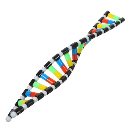 GALPADA Biologische Lehrmittel Modell Biologie Modell Präsentieren Wissenschaft Pädagogisches Kid Biologie Lehrmittel Doppelhelix Struktur Wissenschaftsmodell Klassenzimmer Must Haves Für GALPADA Biologische Lehrmittel Modell Biologie Modell Präsentieren Wissenschaft Pädagogisches Kid Biologie Lehrmittel Doppelhelix Struktur Wissenschaftsmodell Klassenzimmer Must Haves Für von GALPADA