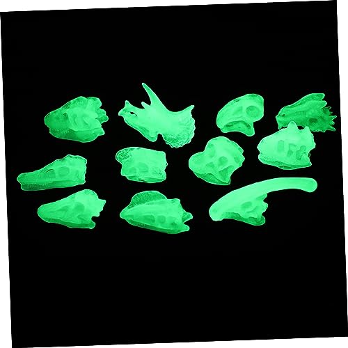 GALPADA Dinosaurier Schädel Modelle Leuchtendes für Bildungsdeko für Zuhause Realistische Nachbildung für Dinosaurier Fans Schreibtischdekoration GALPADA Dinosaurier Schädel Modelle Leuchtendes für Bildungsdeko für Zuhause Realistische Nachbildung für Dinosaurier Fans Schreibtischdekoration von GALPADA