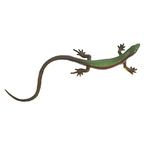 GALPADA Echte Eidechsen Figur aus Kunststoff Realistisches Reptil für Garten Balkon und Lernspielzeug und Scherzartikel für Schule und Zuhause GALPADA Echte Eidechsen Figur aus Kunststoff Realistisches Reptil für Garten Balkon und Lernspielzeug und Scherzartikel für Schule und Zuhause von GALPADA