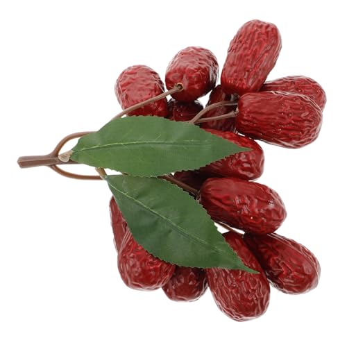 GALPADA Faux Jujube Dekoration Realistische Getrocknete Jujube Früchte für Heim und Bürogestaltung Vielseitig Einsetzbar als Requisite für Kunsthandwerk Teiliges von GALPADA