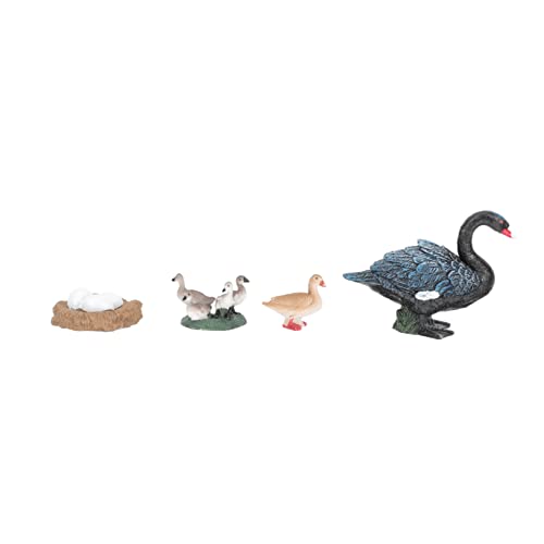 GALPADA Gans Wachstumsmodelle Plastik Figuren für Pädagogisches zur Lebenszyklus Demonstration von Schwänen Lernspielzeug für Junge Mädchen von GALPADA
