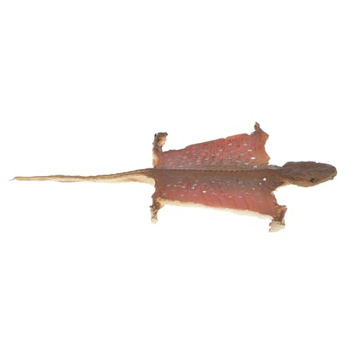 GALPADA Gartentrick Simulation Und Fotografie Dekoration Für Den Innenbereich Für Reptilien Aus Kunststoff Mit Spielzeugfigur – Spukdekor Heimparty Layout Requisitendetails von GALPADA