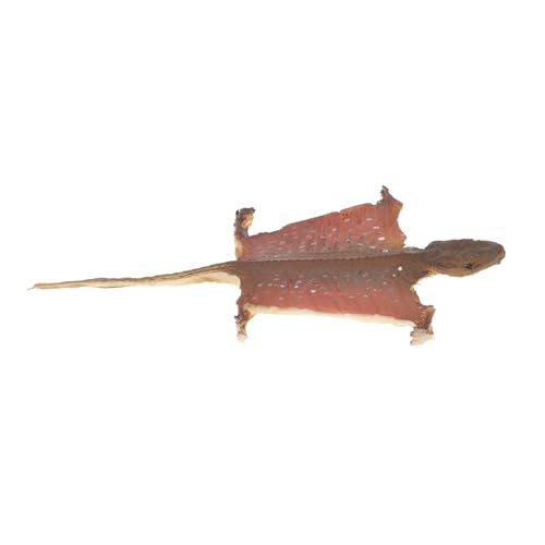 GALPADA Gecko Dekorationsmodell Halloween Dekor Garten Reptilienmodell Reptilienspielzeug Reptilienfiguren Dekor Simulation Gecko Modell Dekoration von GALPADA