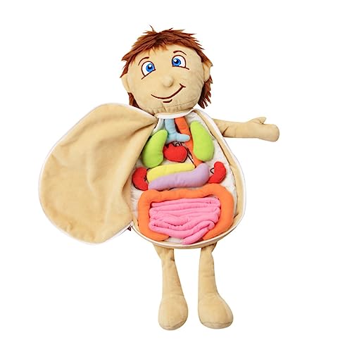 GALPADA Körperanatomie Puzzle für Plüsch Anatomiemodell für Frühkindliche Bildung für Kindergarten und Eltern Junge Mädchen Aktivitäten GALPADA Körperanatomie Puzzle für Plüsch Anatomiemodell für Frühkindliche Bildung für Kindergarten und Eltern Junge Mädchen Aktivitäten von GALPADA