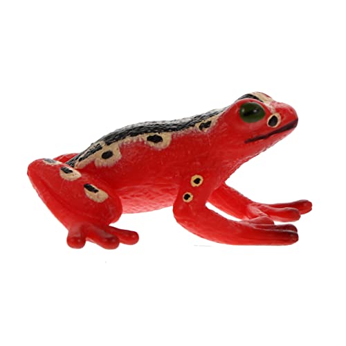 GALPADA Kreatives Frosch Tiermodell Pädagogisches für Realistische Tierfiguren zur Indoor Dekoration Lernspielzeug für Studien und Naturerfahrungen GALPADA Kreatives Frosch Tiermodell Pädagogisches für Realistische Tierfiguren zur Indoor Dekoration Lernspielzeug für Studien und Naturerfahrungen von GALPADA