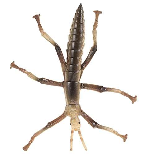GALPADA Kunststoff Insekten für Realistisches Lernspielzeug für Frühe Bildung und Hausgebrauch Partys und Kreative Spielstunden GALPADA Kunststoff Insekten für Realistisches Lernspielzeug für Frühe Bildung und Hausgebrauch Partys und Kreative Spielstunden von GALPADA
