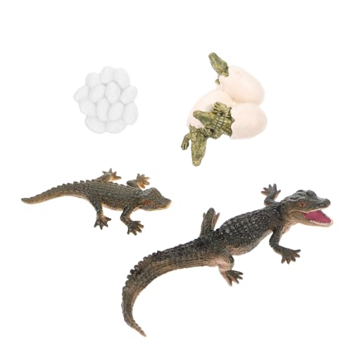 GALPADA Lernspielzeug mit Lebenszyklus Figuren Krokodil Wachstum Modell für Frühe Bildung Pädagogisches Kreativität und Vorstellungskraft für Rollenspiele und Präsentationen GALPADA Lernspielzeug mit Lebenszyklus Figuren Krokodil Wachstum Modell für Frühe Bildung Pädagogisches Kreativität und Vorstellungskraft für Rollenspiele und Präsentationen von GALPADA